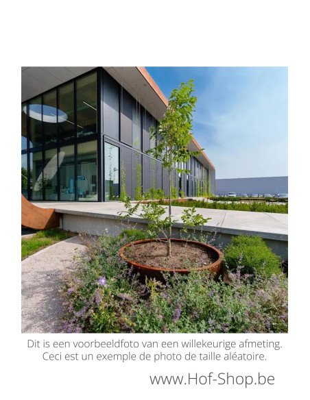 Circum zonder bodem 120 x 40 cm - Adezz Plantenbak in cortenstaal