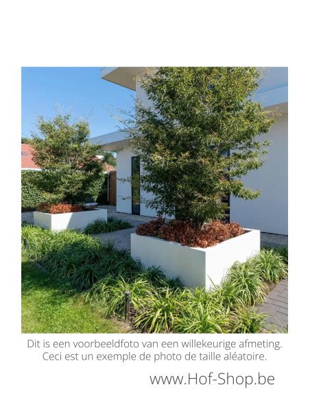 Carrez 120 x 50 x 50 cm - Adezz Plantenbak in polyester