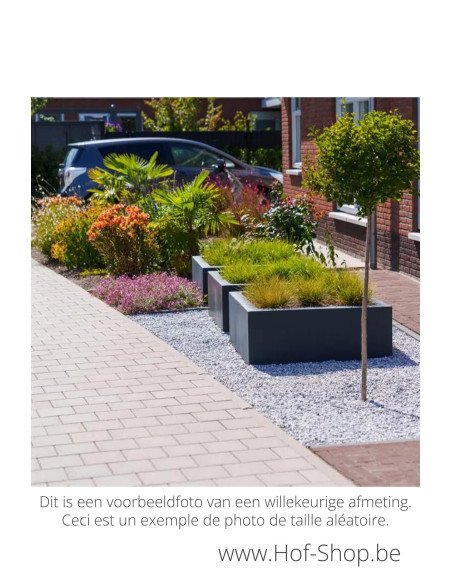 Carrez 80 x 40 x 80 cm - Adezz Plantenbak in polyester