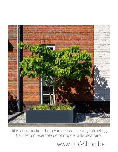 Carrez 80 x 40 x 80 cm - Jardinière Adezz en polyester