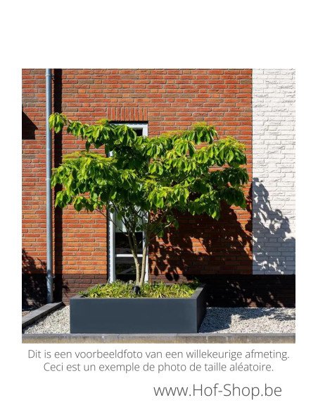 Carrez 80 x 40 x 40 cm - Adezz Plantenbak in polyester