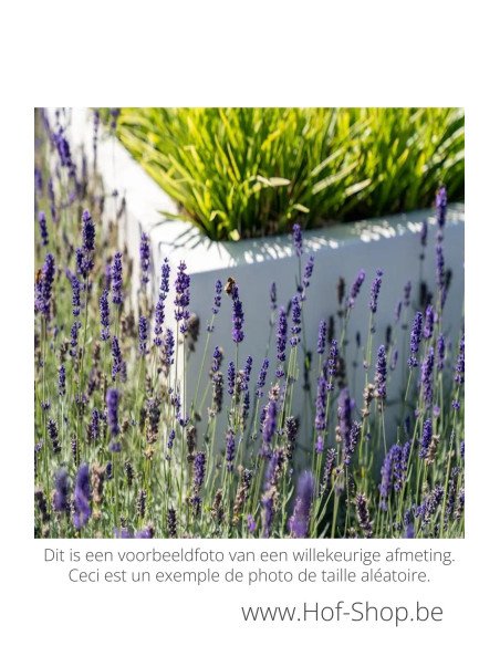 Carrez 120 x 50 x 60 cm - Adezz Plantenbak in polyester