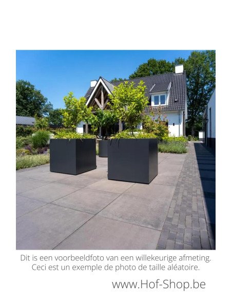 Carrez 300 x 100 x 60 cm - Jardinière Adezz en aluminium