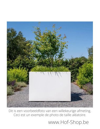 Carrez 200 x 100 x 80 cm - Jardinière Adezz en aluminium