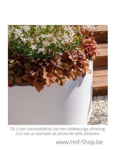 Ellipse zonder bodem 120 x 80 x 40 cm - Adezz Plantenbak in aluminium