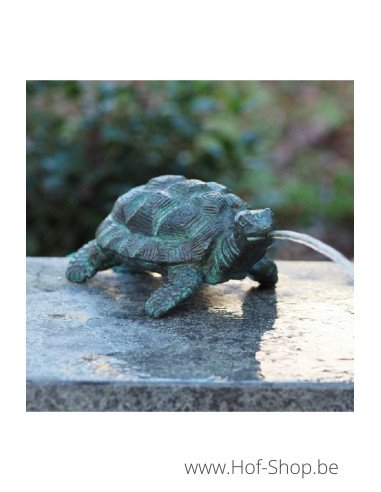 Schildpad - bronzen beeld (AN1157BR-V-F)