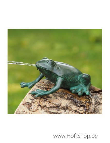 Grenouille verte - statue en bronze (AN1281BR-V-F)
