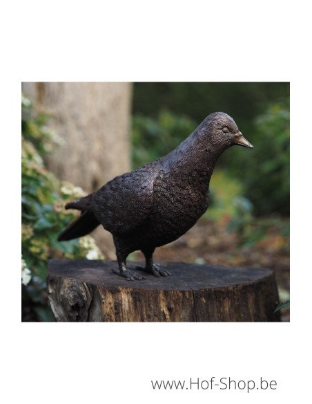 Duif - bronzen beeld (AN1288BR-B-1)