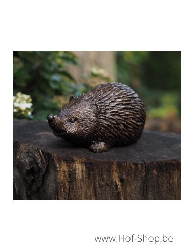 Hérisson - statue en bronze (AN1299BR-B)