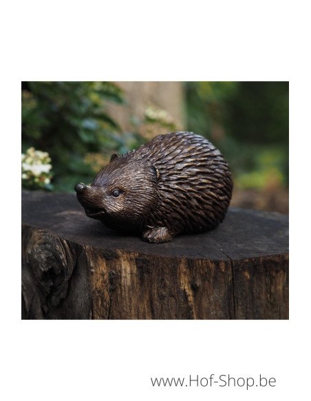 Egel - bronzen beeld (AN1299BR-B)