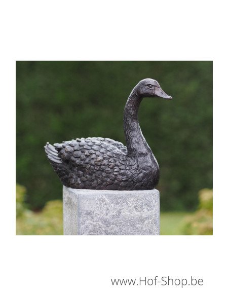 Cygne - statue en bronze (AN1343BR-B)
