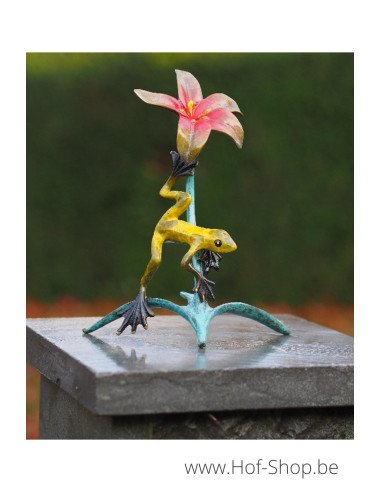 Kikker op bloem - bronzen beeld (AN1888BR-HP)