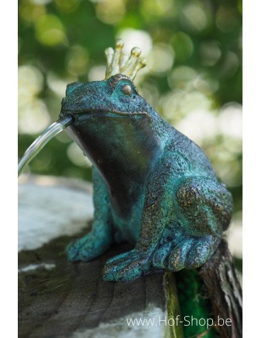 Kikker - bronzen beeld (AN1382BR-V-F)