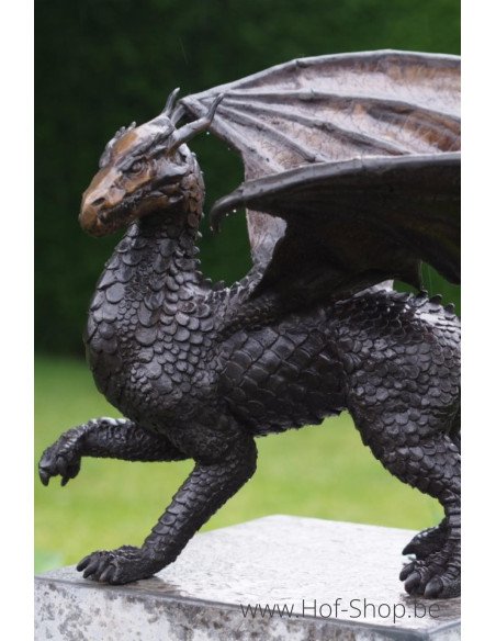 Dragon - statue en bronze (AN2308BR-B)