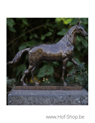 Cheval sur base rectangulaire - sculpture en bronze (AN2563BRW-HP)
