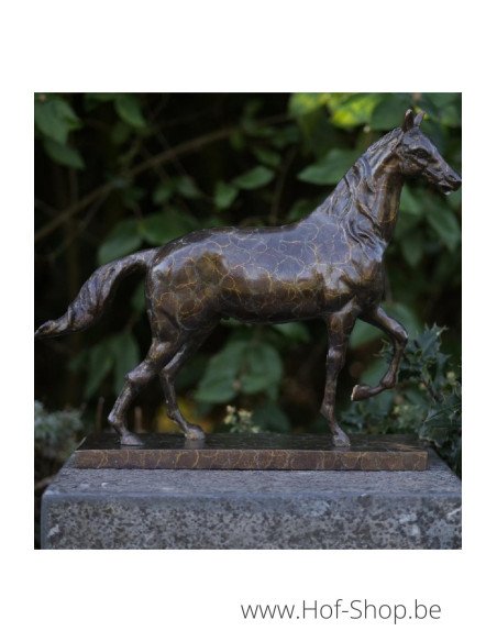 Cheval sur base rectangulaire - sculpture en bronze (AN2563BRW-HP)