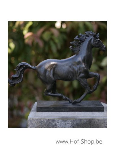 Paard op rechthoekige voet - bronzen beeld (AN2564BRW-HP)