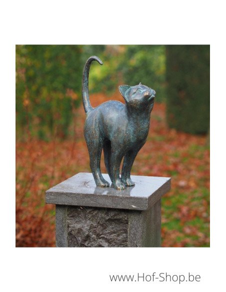 Chat - statue en bronze (AN2677BR-VI)