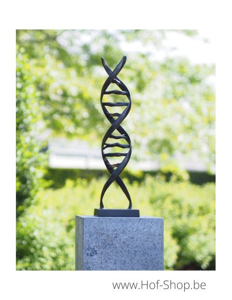 Sculpture moderne de DNA - statue en bronze (AN2734BRW-BI)