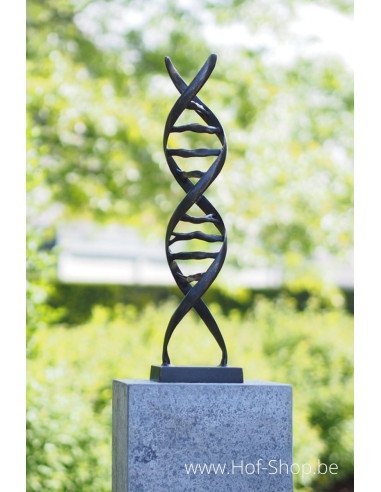 Sculpture moderne de DNA - statue en bronze (AN2734BRW-BI)