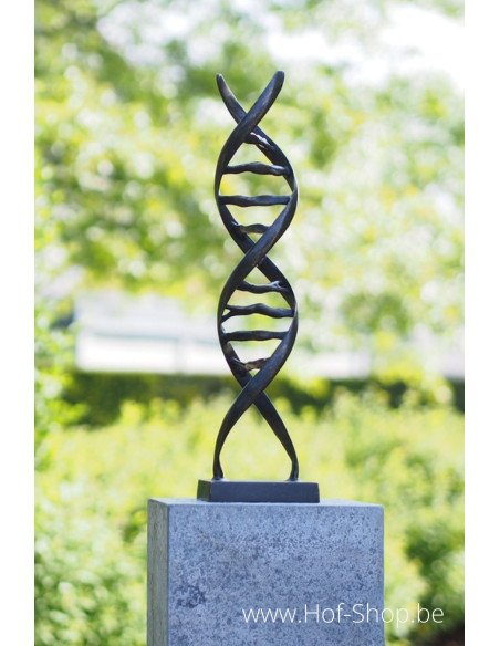 Sculpture moderne de DNA - statue en bronze (AN2734BRW-BI)