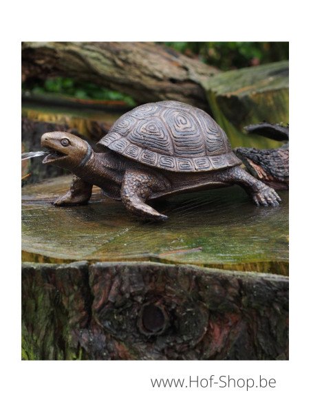 Schildpad - bronzen beeld (AN3392BR-B-F)