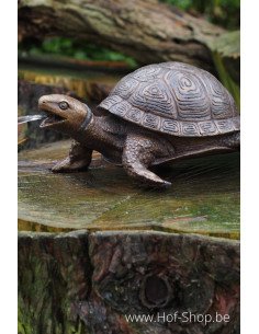 Tortue - statue en bronze (AN3392BR-B-F)