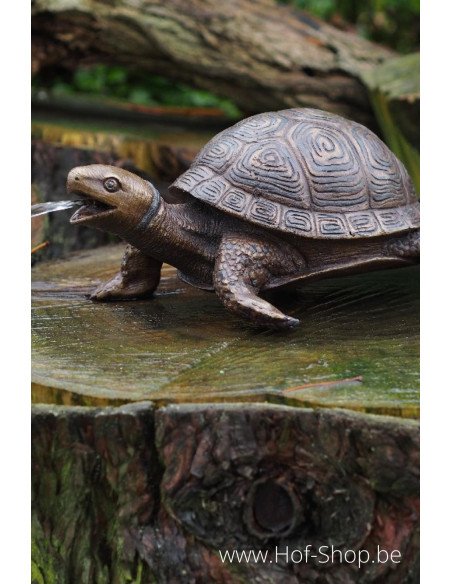 Tortue - statue en bronze (AN3392BR-B-F)