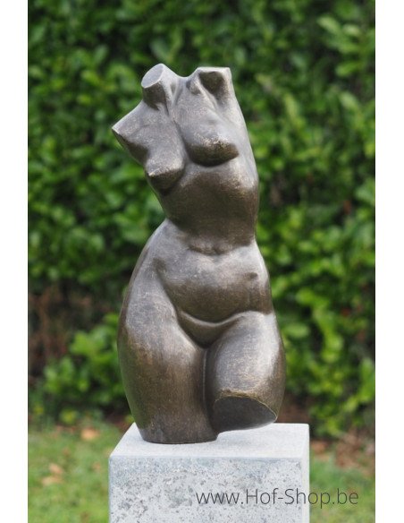 Buste féminin moderne - statue en bronze (AN3551BR-BI)