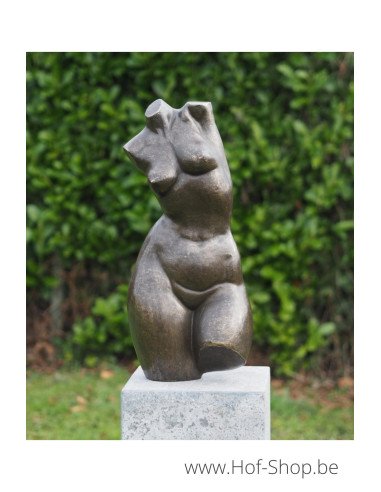 Buste féminin moderne - statue en bronze (AN3551BR-BI)