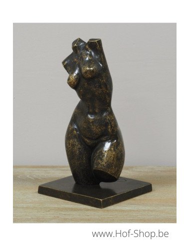 Bronzen vrouwen buste klein - bronzen beeld (AN3552BR-BI)