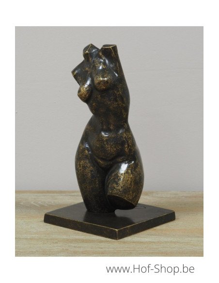 Bronzen vrouwen buste klein - bronzen beeld (AN3552BR-BI)