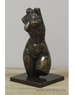 Bronzen vrouwen buste klein - bronzen beeld (AN3552BR-BI)
