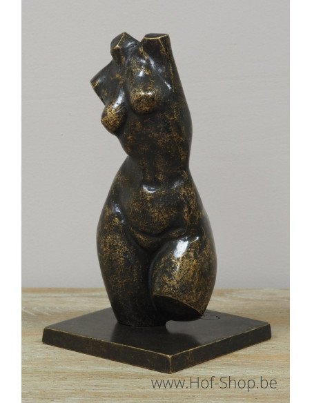 Buste féminin moderne petit - statue en bronze (AN3552BR-BI)