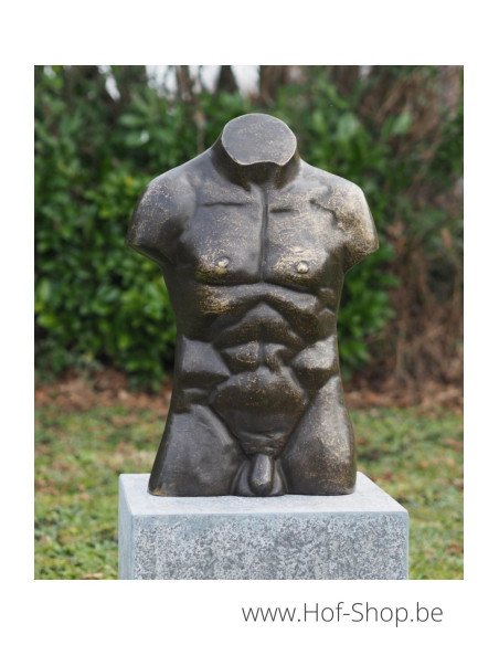 Buste d'hommes en bronze en grand - statue en bronze (AN3553BR-BI)