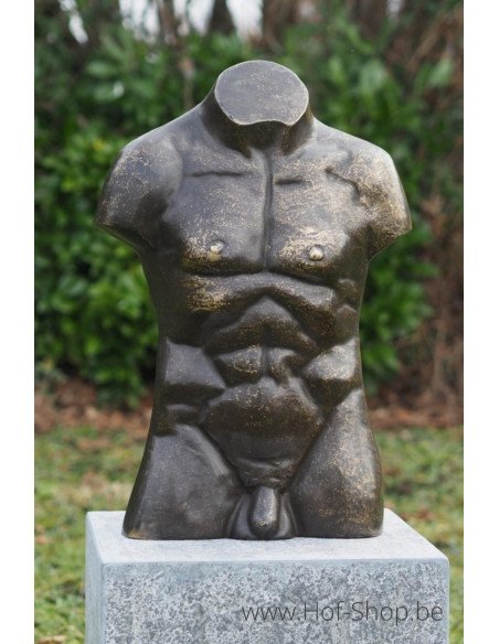 Bronzen mannen buste groot - bronzen beeld (AN3553BR-BI)
