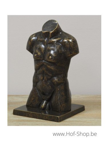Bronzen mannen buste klein - bronzen beeld (AN3554BR-BI)