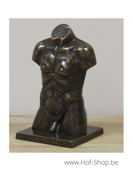 Bronzen mannen buste klein - bronzen beeld (AN3554BR-BI)