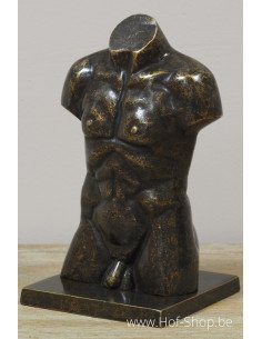 Bronzen mannen buste klein - bronzen beeld (AN3554BR-BI)