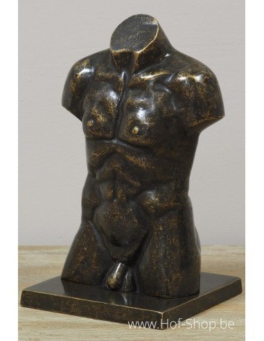 Bronzen mannen buste klein - bronzen beeld (AN3554BR-BI)
