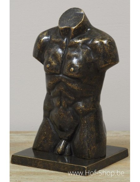 Bronzen mannen buste klein - bronzen beeld (AN3554BR-BI)