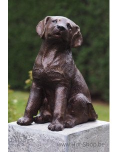 Chien - statue en bronze (AN4731BR-B)