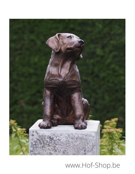 Hondje - bronzen beeld (AN4731BR-B)