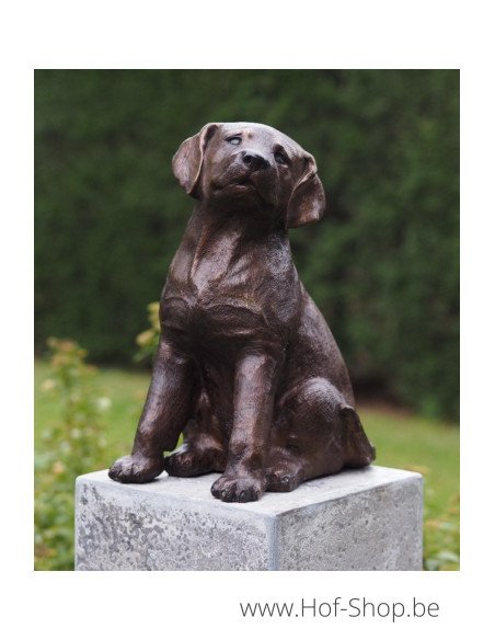 Chien - statue en bronze (AN4731BR-B)