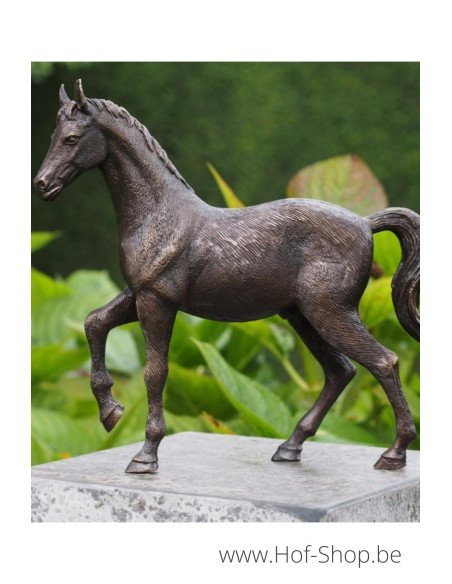 Paard - bronzen beeld (BS1355B)
