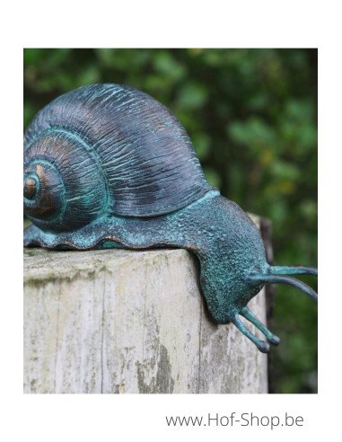 Escargot - statue en bronze (BS1417V)