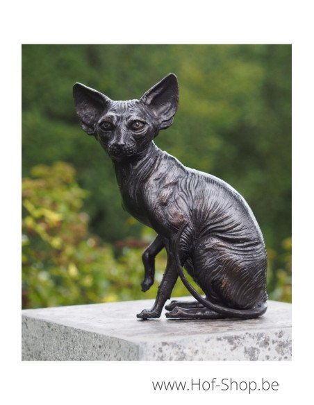 Chat sans poils assis - statue en bronze (BS1418B)