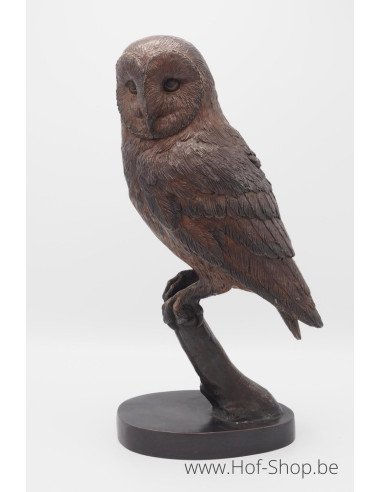 Hibou sur une branche - statue en bronze (BS1428B)