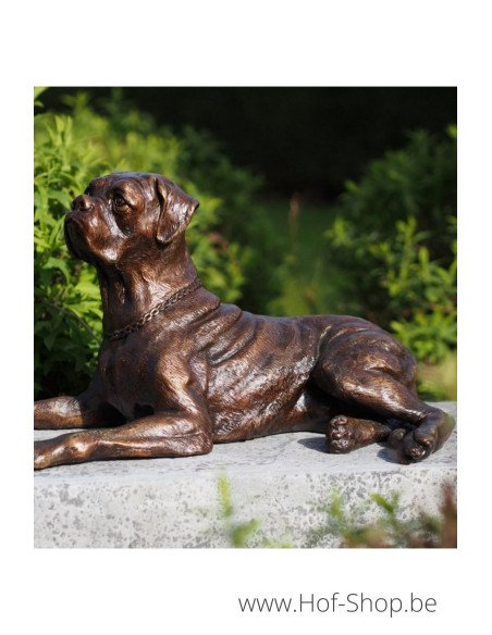 Boxer klein - bronzen beeld (BS61051)