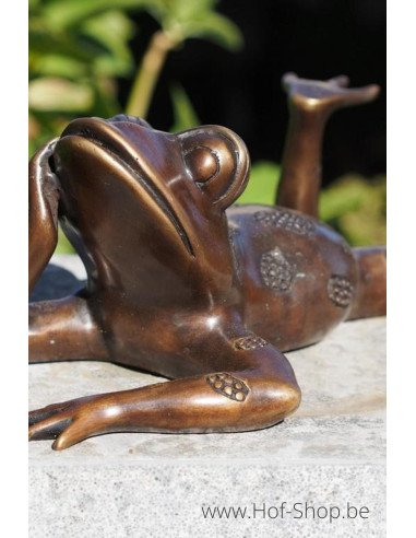 Grenouille couchée - statue en bronze (BS61102)